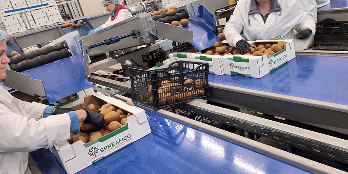 Spreafico si allarga in Grecia per le forniture di kiwi